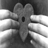 czarna_orchidea