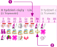 Cal_pcard